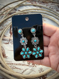 Rodeo Daisy Drops