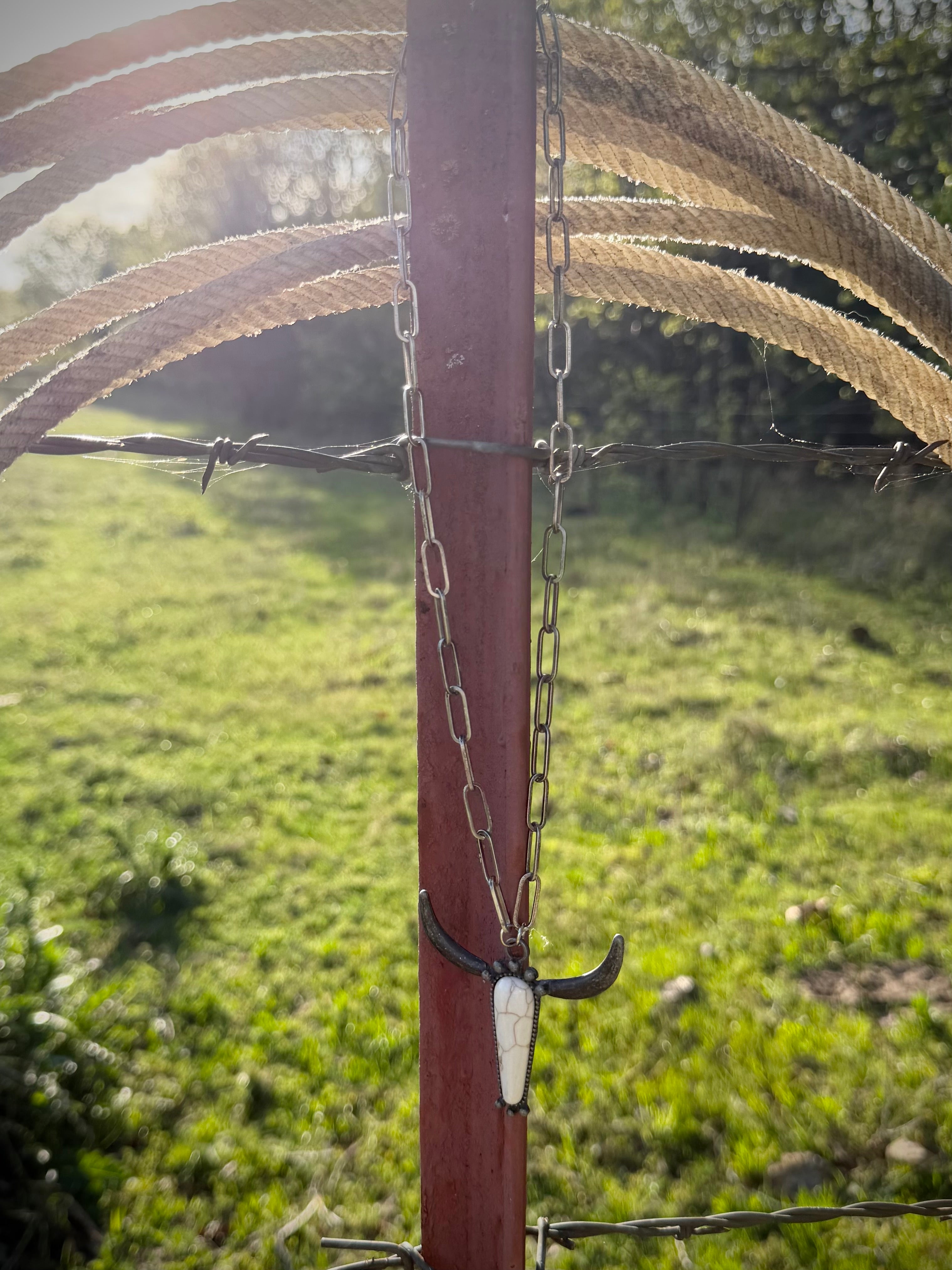 The Lone Cattle Necklace